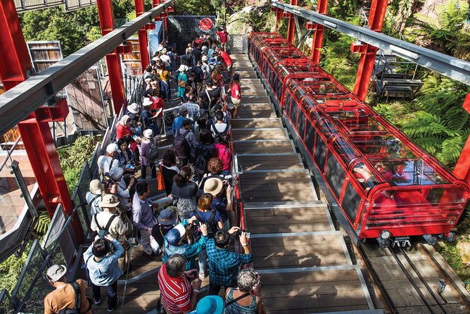 Private Guided Tour: Blue Mountains Tour from Sydney - Cahill’s Lookout and late-day timing for photos