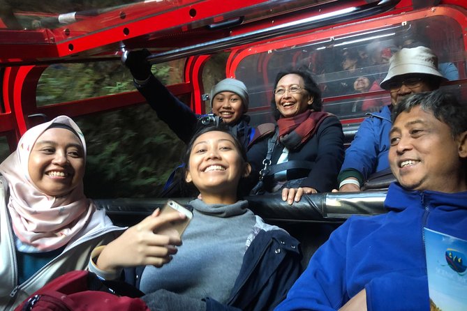Private Guided Tour from Sydney to Blue Mountains National Park - Featherdale Wildlife Park: the best first stop for families and animal lovers