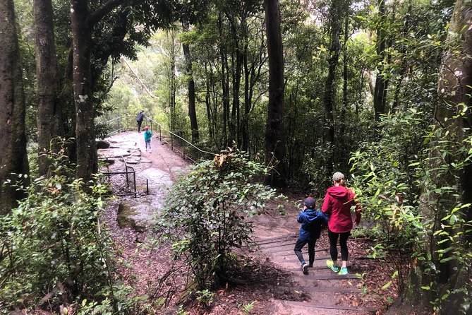 Private Guided Tour from Sydney to Blue Mountains National Park - The Three Sisters and the waterfall stops you’ll remember