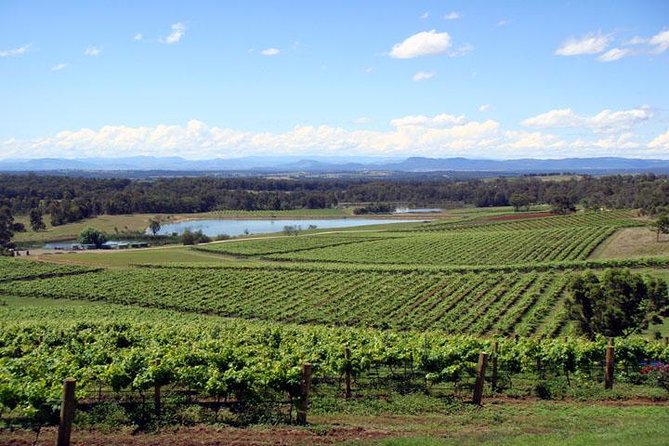 Private Hunter Valley Wine-Tasting Day Tour from Sydney - Key Things You’ll Notice on This Tour