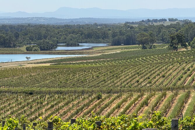 Private Hunter Valley Wine Tasting Tour from Sydney - Timing and pacing: making a 10–11 hour day feel manageable