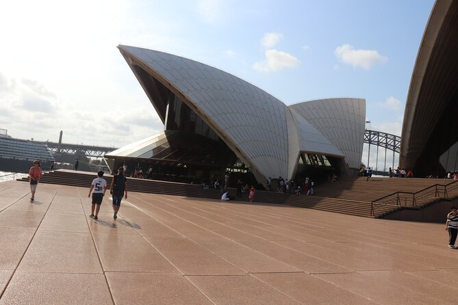 Private Luxury Half Day Sydney City Tour - Royal Botanic Garden + Mrs Macquarie’s Chair: Harbour Views That Feel Like a Reward
