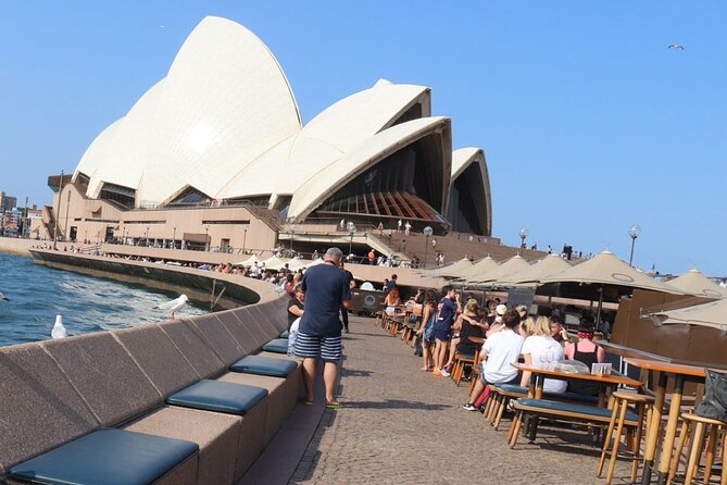 Private Luxury Half Day Sydney City Tour - Hotel Pickup and a 4.5-Hour Route That Fits Real Life