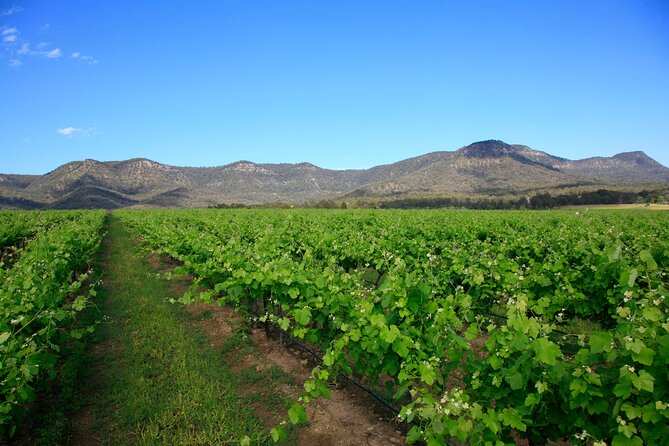 Private Luxury Tour: Tastes of the Hunter Valley - How long is enough? Making sense of the 9-hour day