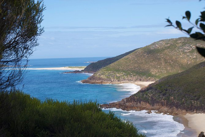 Private Port Stephens Day Trip from Sydney incl Dolphin Cruise - Stockton Sand Dunes: Sandboarding and What to Budget