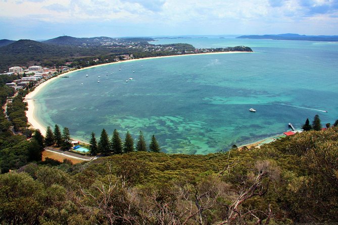 Private Port Stephens Day Trip from Sydney incl Dolphin Cruise - How Private Means Private (Even When the Boat Is Public)