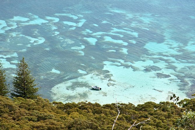 Private Port Stephens Day Trip from Sydney incl Dolphin Cruise - Practical Tips to Make the Day Comfortable