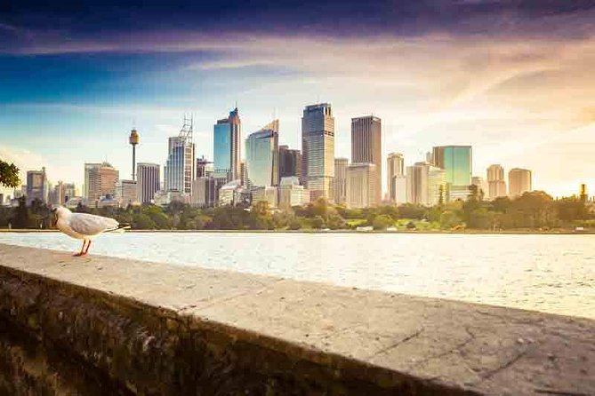 Private Sydney City and Bondi Beach Half Day Tour - Sydney Opera House: Getting the Postcard View Without Overplanning