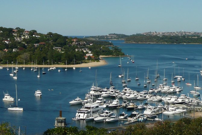 Private Sydney City Tour: The Key Attractions - Darling Harbour and The Rocks to the Harbour Bridge: the best waterfront story arc