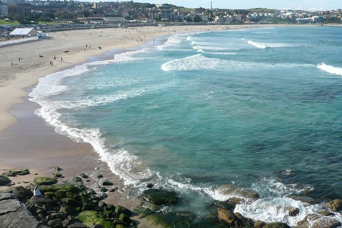 Private Sydney City Tour: The Key Attractions - Bailey’s-style route: harbor viewpoints first, then neighborhoods and beaches