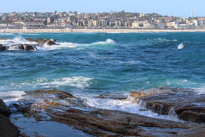 Private Sydney Discovery Tour - Meeting up at 9:00am: comfort and pickup that reduce day-friction