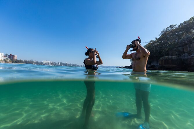 Private Sydney Snorkeling Experience: Explore Cabbage Tree Bay - The 2-hour flow: Shelly Beach to the protected waters
