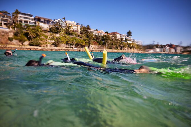 Private Sydney Snorkeling Experience: Explore Cabbage Tree Bay - Gear checklist: what you’ll bring vs. what you won’t
