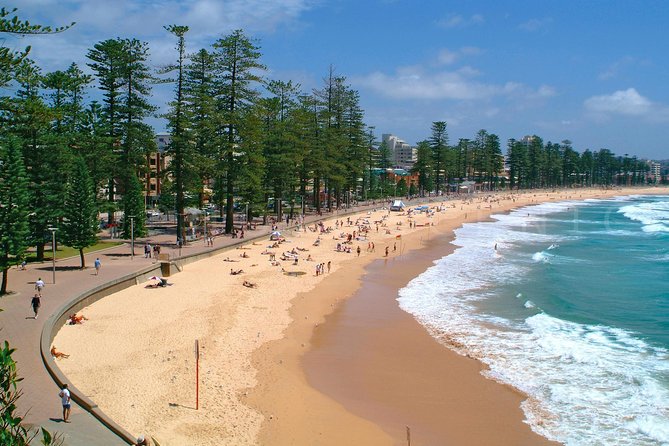 Private Sydney Tour Including Sydney Opera House, Bondi and Manly - Price and logistics: does $448.28 per person feel worth it?