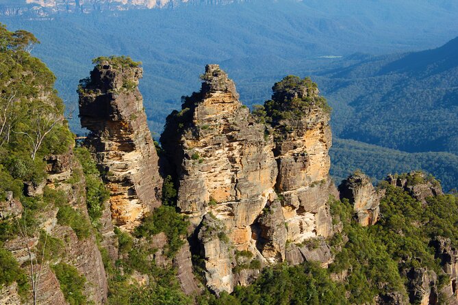 Private Tour Blue Mountains Day Adventure Wildlife + River Cruise - Price and value: $237.68 per person
