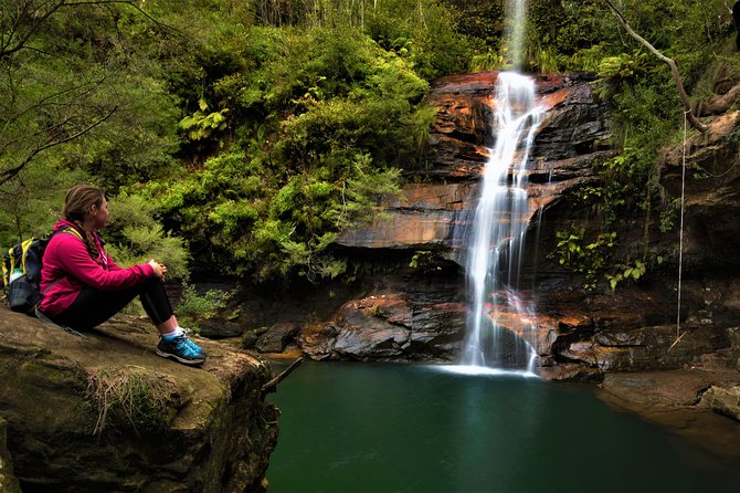 Private Tour Blue Mountains Day Adventure Wildlife + River Cruise - Getting started at 9:30am: what the timing does for you