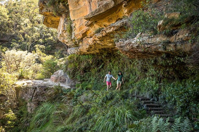 Private Tour: Blue Mountains Hiking & Nature - How the Day Flows: 9 to 10 Hours of Views and Walks