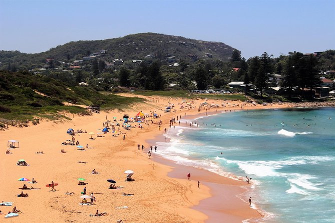 Private tour of Ku-Ring-Gai National Park and Northern Beaches - Lunch, bottled water, and photos you don’t have to set up