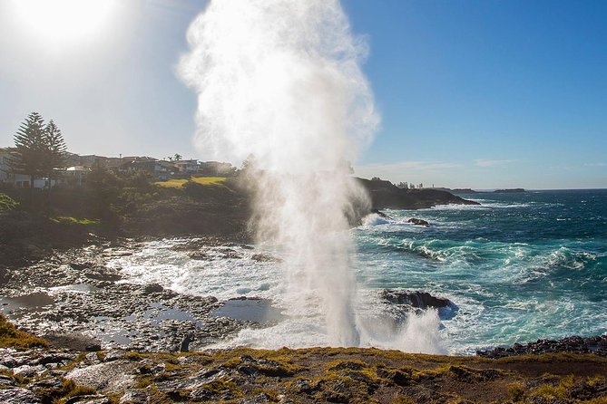 Private Tour: Sydney South Coast & Highlands - Nan Tien Temple and Kiama Blowhole: culture if you want it