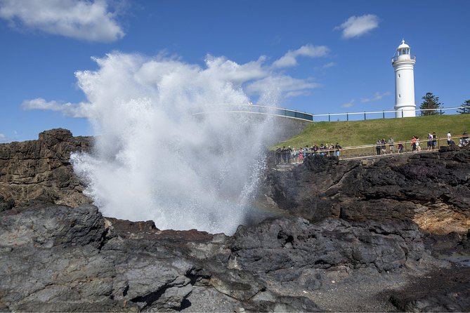 Private Tour: Sydney South Coast & Highlands - Royal National Park: Nasho history and a waterfall-lagoon combo