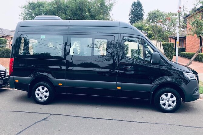 Private Transfer from Sydney Airport to Sydney (CBD)Hotel or Port - Waiting time: how it works when customs and baggage slow you down