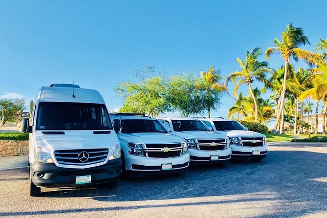 Private Transfer from Sydney Cruise Port to Sydney Airport (SYD) - Comfort and Safety: What You Get in the Car