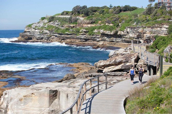 Private Walangari's Aboriginal Walking Tour in Bondi Beach - Rock carvings explained on the spot