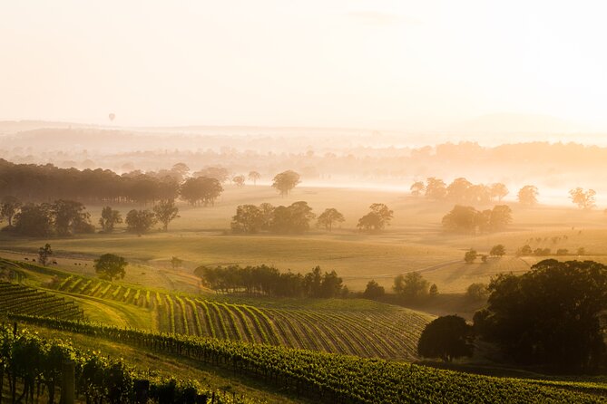 Private Wildlife Waterfalls and Wine Day Tour from Sydney - Price and value: what $785.38 buys you (and why it can be worth it)