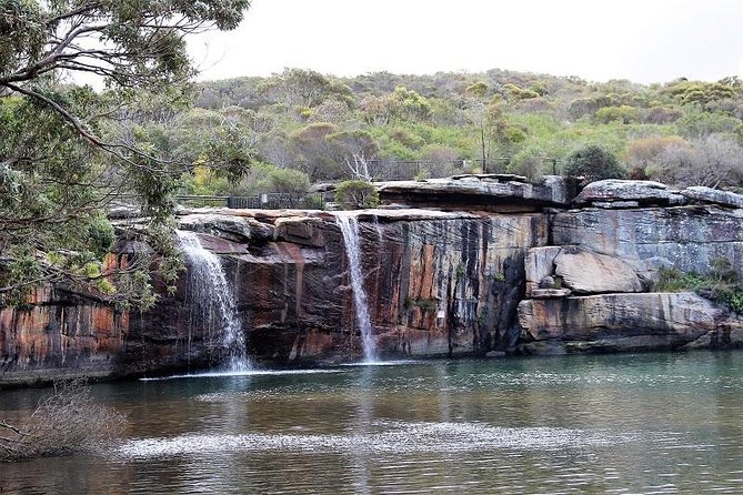 Royal National Park Private Tour - What this Royal National Park private day is really about