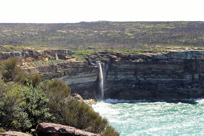 Royal National Park Private Tour - Bald Hill and Sea Cliff Bridge: viewpoints that help you read the coast