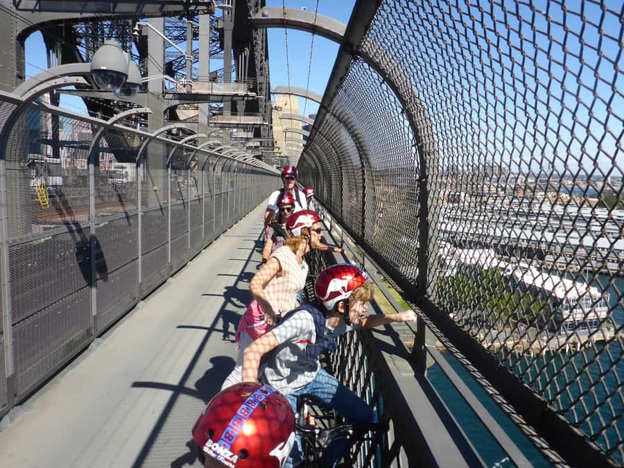 Scenic Sydney Harbour Bridge Bicycle Ride - Lunch and cultural stops: learning without the heavy slog