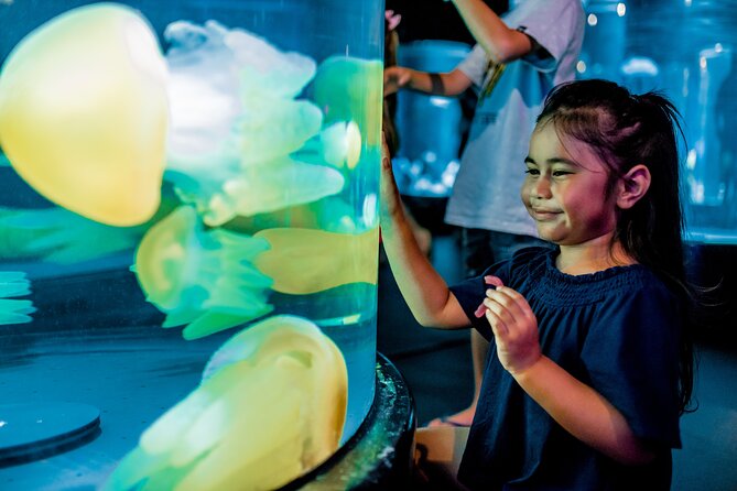 SEA LIFE Sydney Aquarium Entrance Ticket - The reef tunnels: where sharks, rays, and reef fish do the work