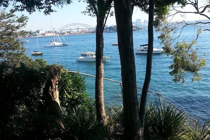Secret Sydney: Hidden Beaches and Gardens - The quiet Sydney loop: Rose Bay to hidden shorelines