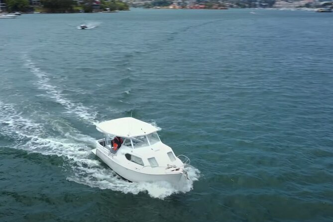 Self Drive Boat Hire Sydney Harbour (No license required) - Price and value: $365.79 for up to 6
