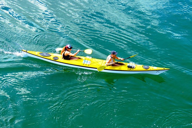 Self-Guided Sydney Middle Harbour Kayak 3 Hour Tour by Double Kayak - Key things to know before you paddle
