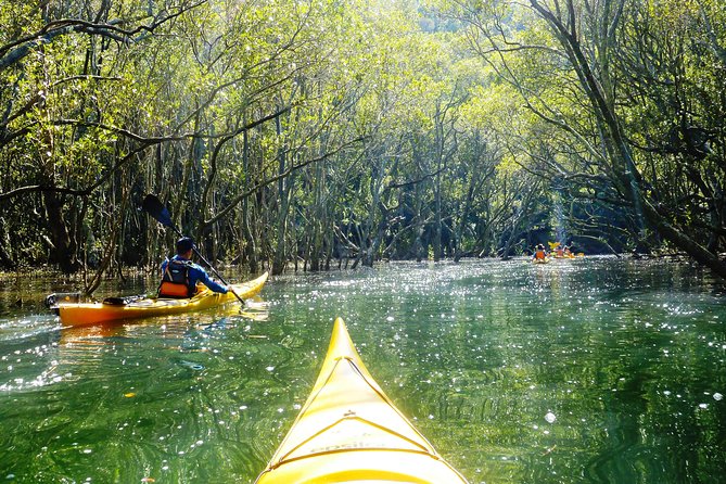 Self-Guided Sydney Middle Harbour Kayak 3 Hour Tour by Double Kayak - Practical tips that follow the tour’s design