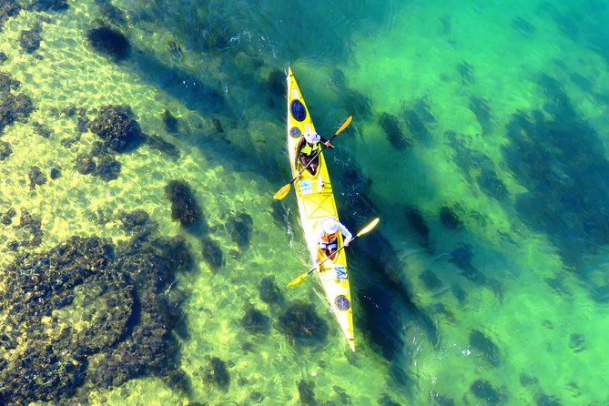 Self-Guided Sydney Middle Harbour Kayak 3 Hour Tour by Double Kayak - The deluxe double kayak: what the gear actually means for you