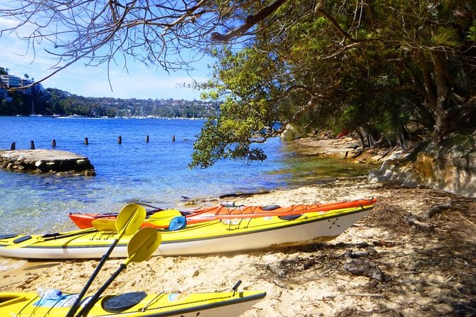 Self-Guided Sydney Middle Harbour Kayak 3 Hour Tour by Single Kayak - Your self-guided route: from harbour sights to mangroves and beaches