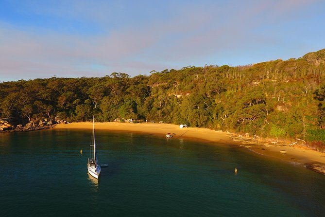 Single Kayak Hire - 4 Hours - North Harbour in a Single Kayak: The Appeal