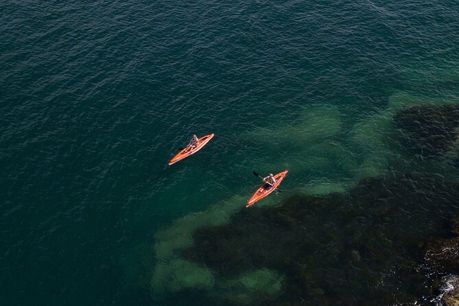 Single Kayak Hire - 4 Hours - Beaches, Quarantine, Store Beaches, and the Q Station Detour