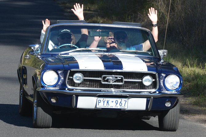 Six-Bridges-of-Sydney-Vintage-Car-Ride-Experience - Lane Cove Tunnel: when the engine sound becomes the attraction
