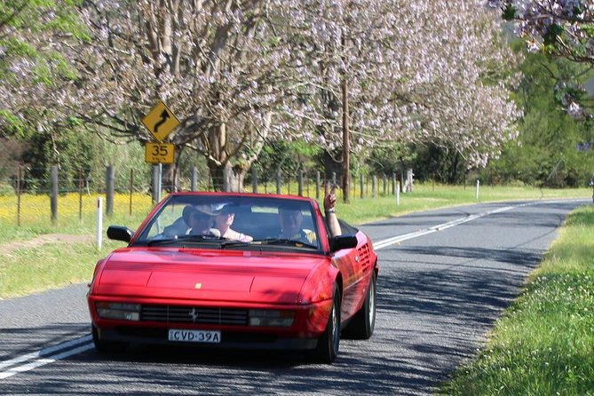 Six-Bridges-of-Sydney-Vintage-Car-Ride-Experience - Price and value: paying for a driver, a vintage car, and a landmark route