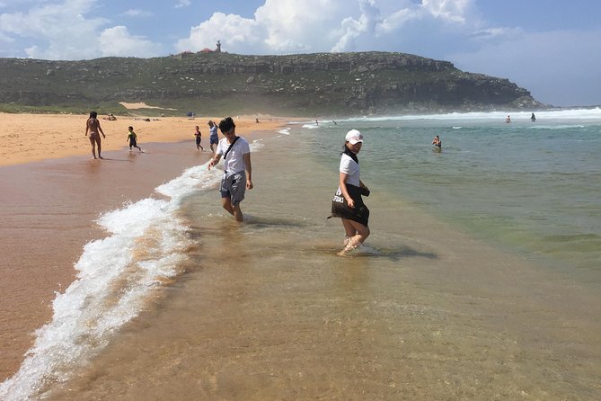 Small-Group Sydney's Northern Beaches & Ku-ring-gai Park Tour - Palm Beach and Home & Away filming locations