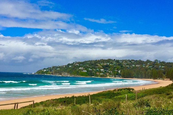 Small-Group Sydney's Northern Beaches & Ku-ring-gai Park Tour - Narrabeen Lakes, Long Reef Point, and when to watch for whales