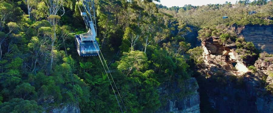 Small Group: Zoo, Blue Mountains, Scenic World Mandarin Tour - Cahill’s Lookout on the Way Back to Sydney
