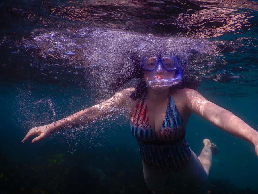 Snorkel Sydney’s Stunning Marine Reserve on a Private Tour - Clovelly Beach vs. Gordons Bay: the route that adapts to the ocean