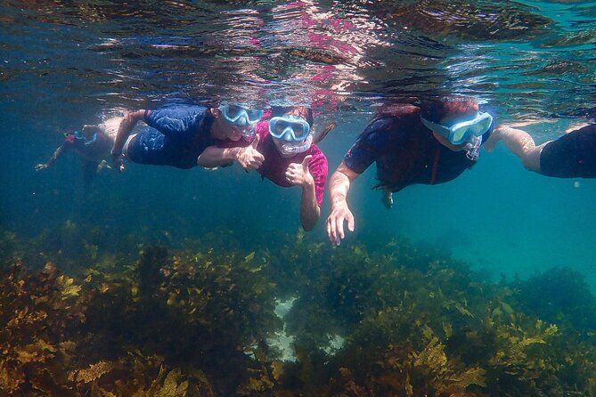 Snorkeling Adventure for Kids with Private Guide In Sydney - Equipment That Fits Kids (and Why That Matters)