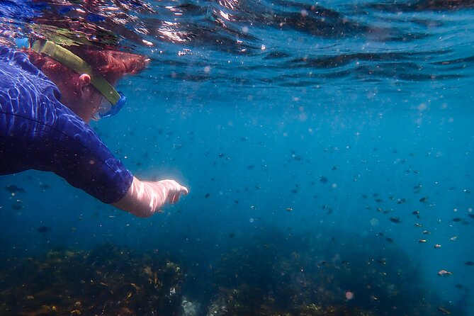Snorkeling Adventure for Kids with Private Guide In Sydney - Guide Style: The Coaching That Keeps Kids Calm