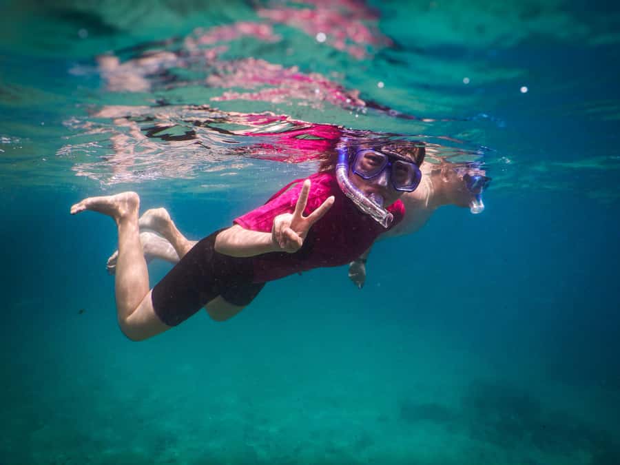 Snorkeling Tour: Discover Sydney’s impressive sea life - When weather changes the plan: Clovelly versus Little Bay