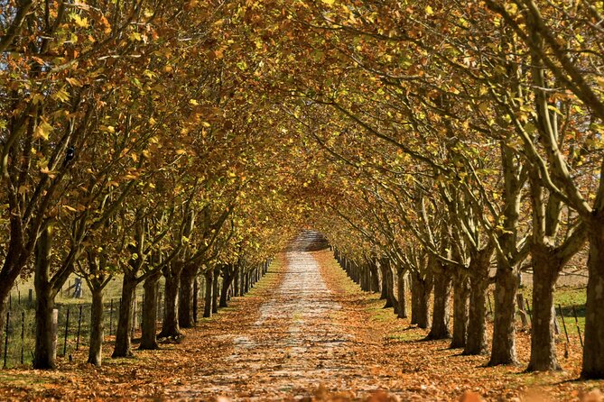 Southern Highlands Private Tour with Wine, Waterfall and Garden - Your private-car advantage: pickup, timing, and a day that feels easy